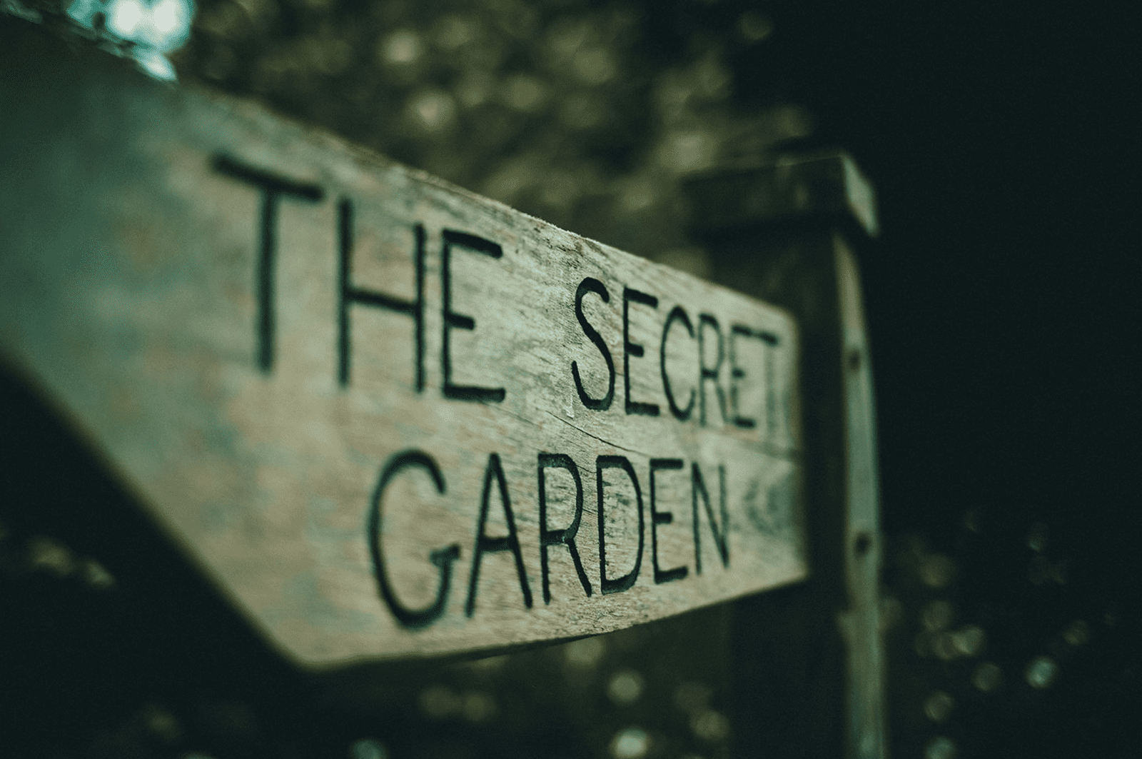 How to Create a Sacred Garden: A Magical Space for Ritual and Spiritual Growth